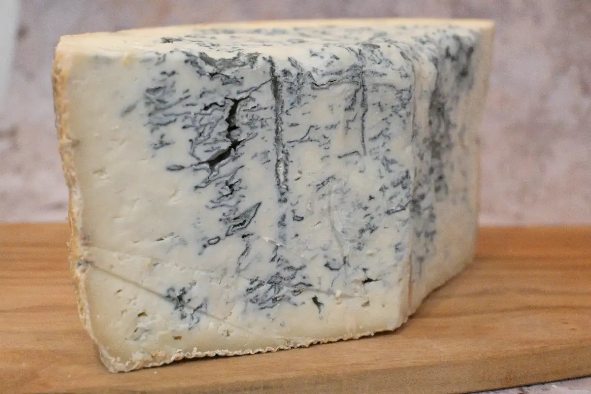 Gorgonzolo